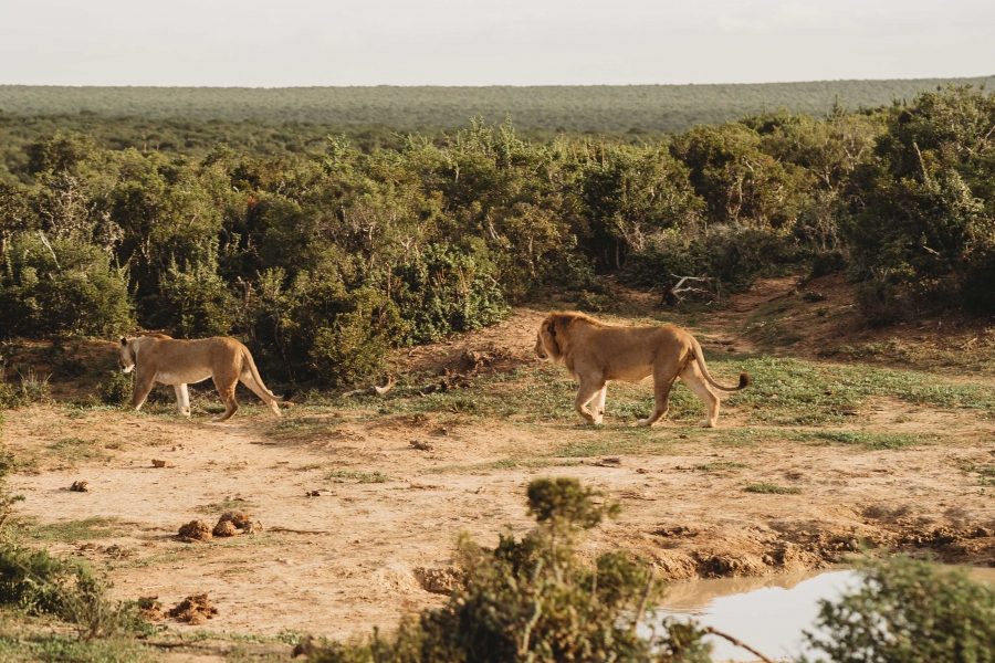 FIH Fotografie » Zuid Afrika